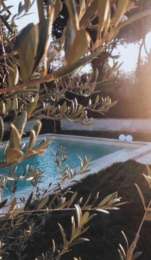 Cottage Normand Avec Sa Grande Piscine Chauffee Toute L Annee Sur Parc Arbore Et Clos En Plein Coeur De La Campagne Adapte Aux Kids Et Dog Friendly Saint-Antonin-de-Sommaire Экстерьер фото